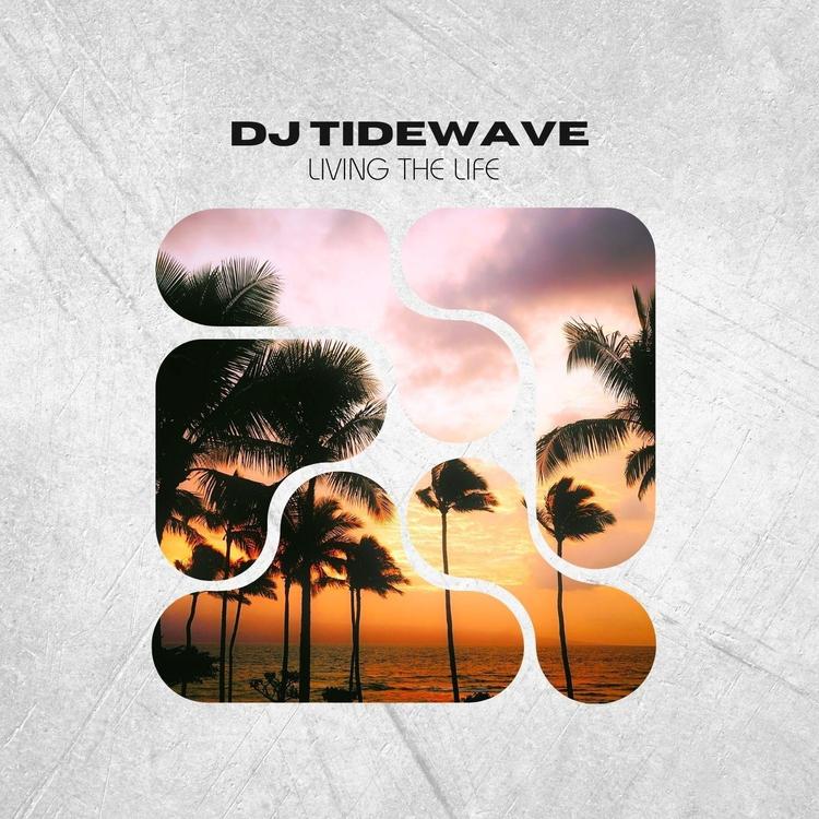 DJ TideWave's avatar image