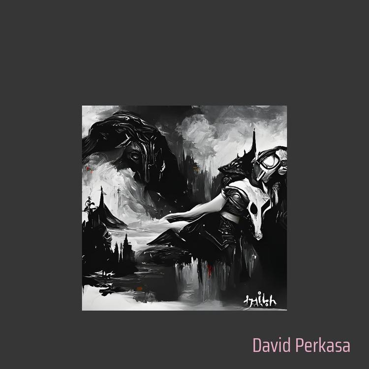 david perkasa's avatar image