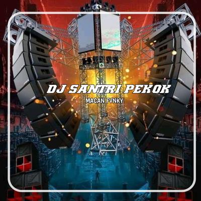 DJ SANTRI PEKOK JEDAG JEDUG NGESLOW's cover