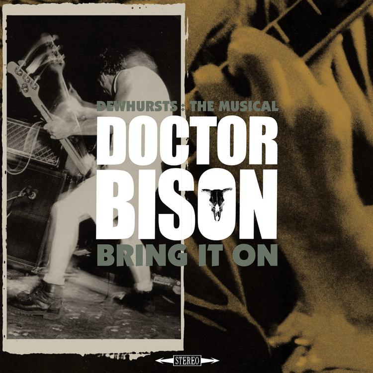 Doctor Bison's avatar image