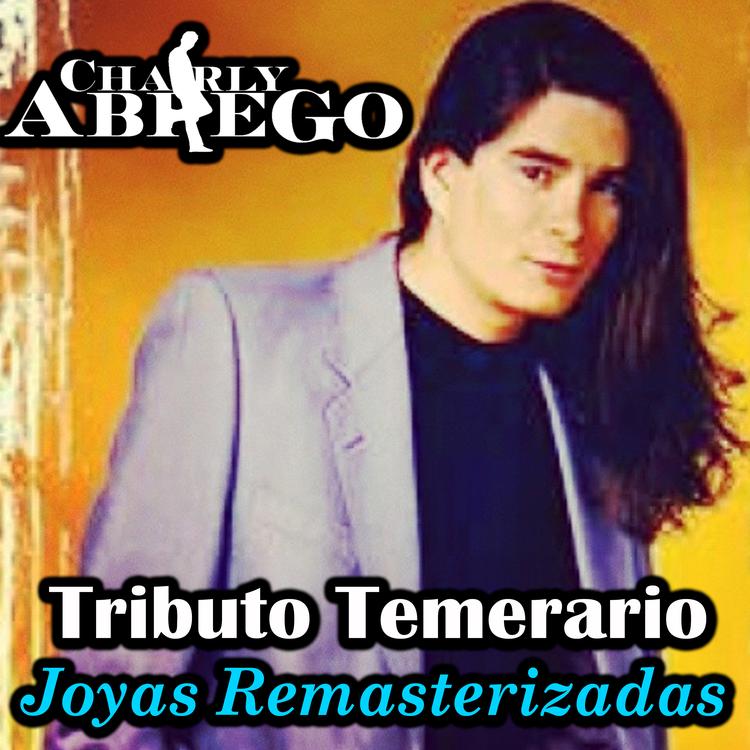 Charly Abrego's avatar image