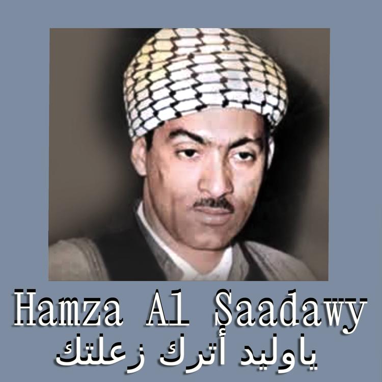 Hamza Al Saadawy's avatar image