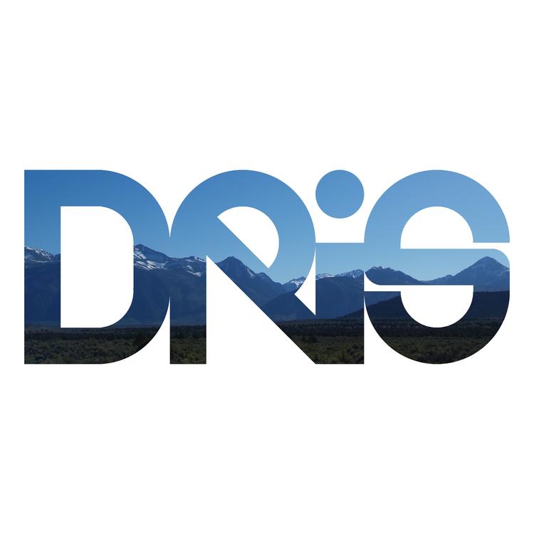 Dris's avatar image