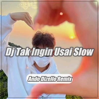 DJ Tak Ingin Usai Slow Remix's cover