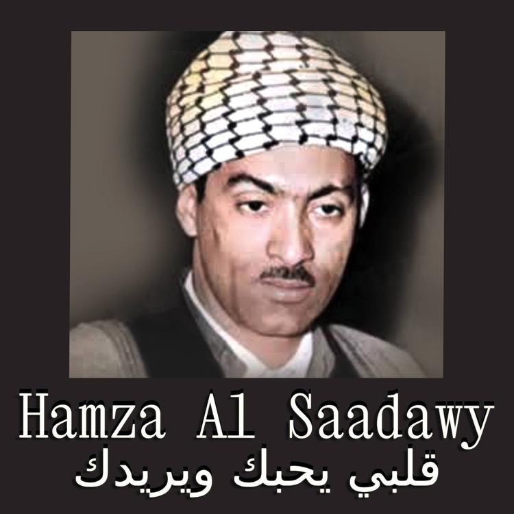 Hamza El Saadawy's avatar image