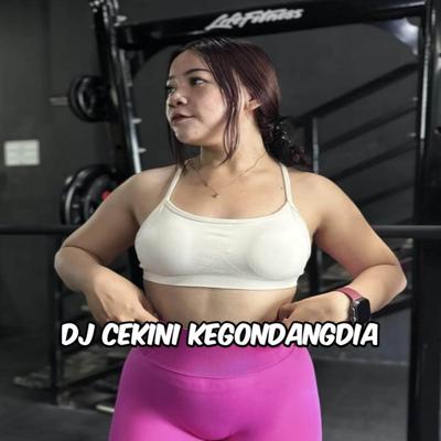 DJ DINGIN KERINGETAN X TANTE CULIK AKU DONG's cover