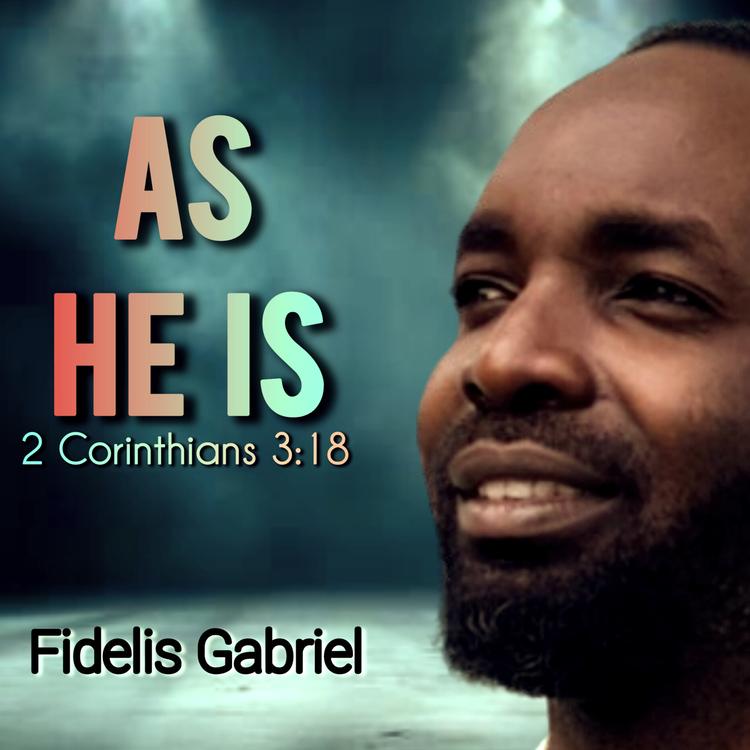 Fidelis Gabriel's avatar image