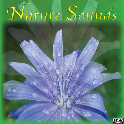 Nature Sounds's cover