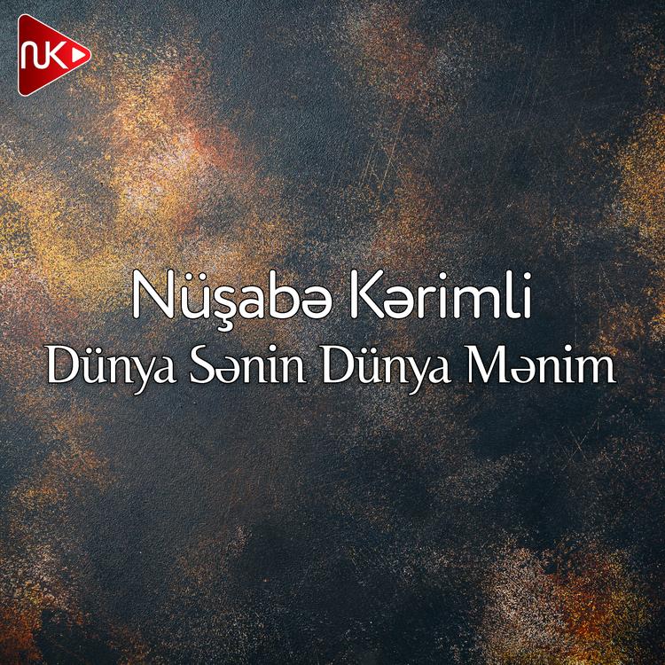 Nüşabə Kərimli's avatar image