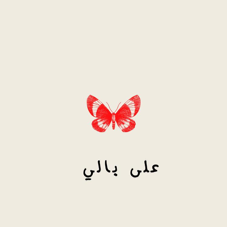 كوثر سجاد's avatar image