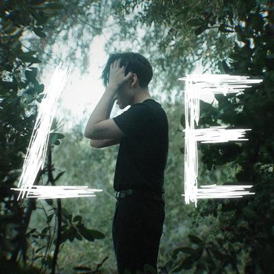 lie's cover