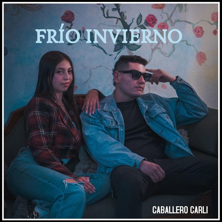 Caballero Carli's avatar image