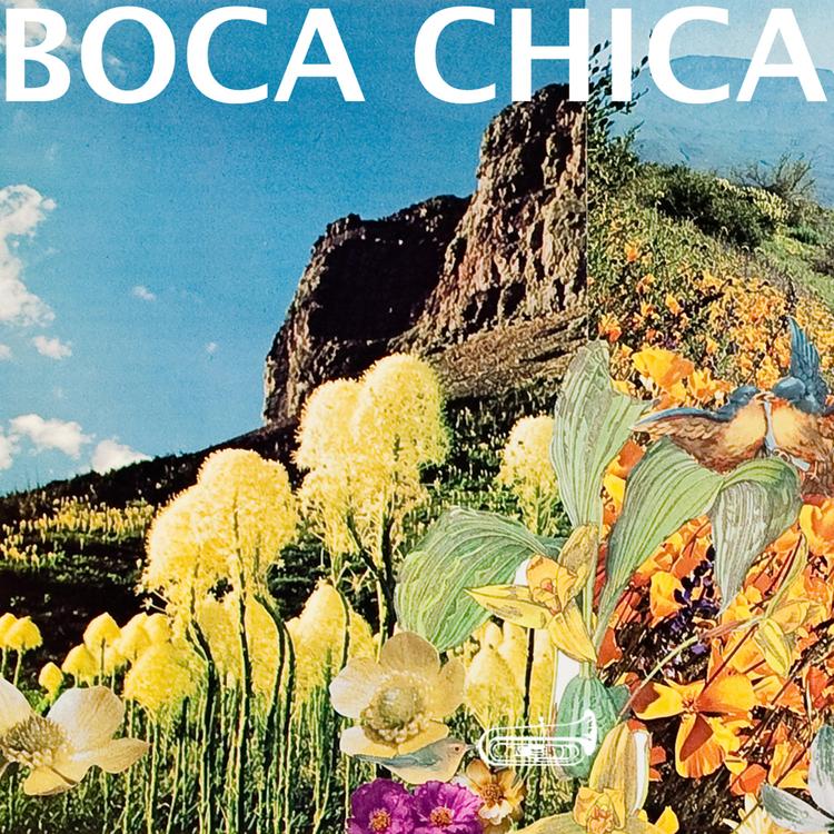 Boca Chica's avatar image