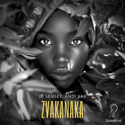 Zvakanaka (Radio Mix)'s cover