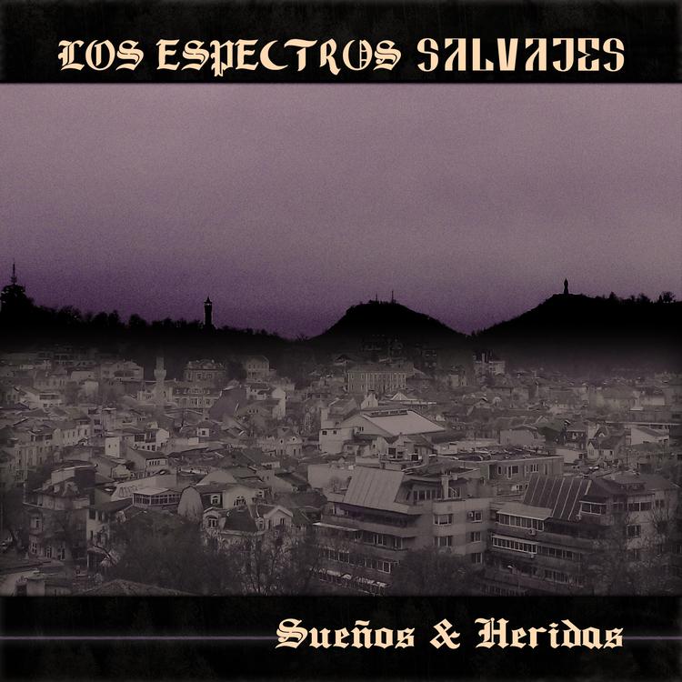 Los Espectros Salvajes's avatar image