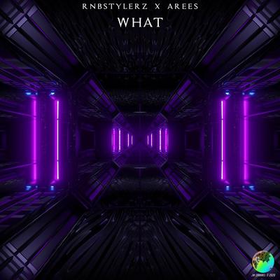 WHAT By Rnbstylerz, Arees's cover