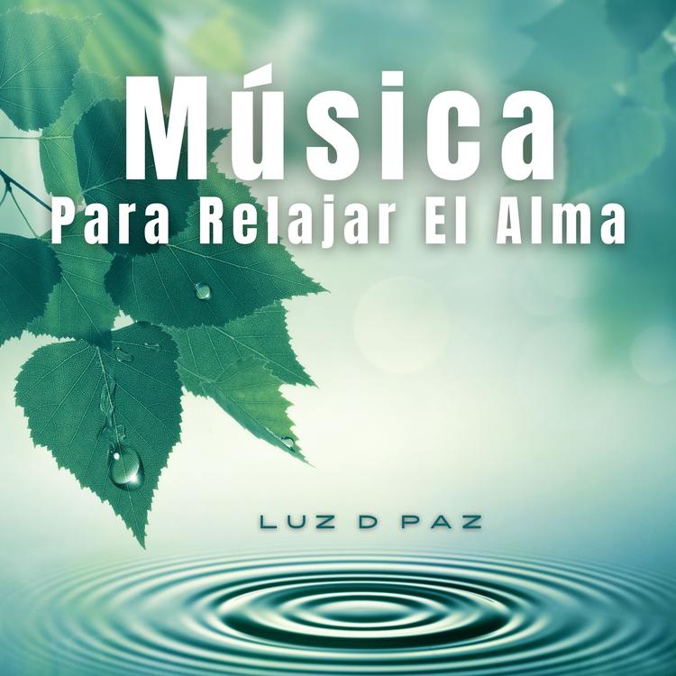 Luz D Paz's avatar image