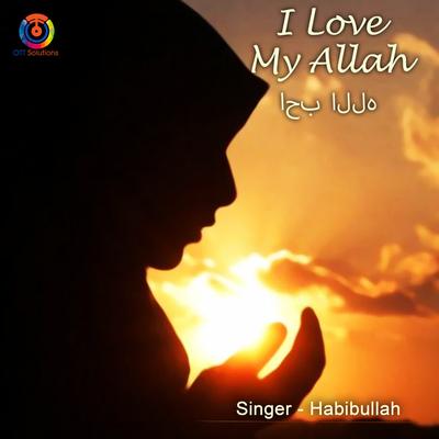 I Love My Allah's cover