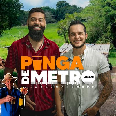 Pinga de Metro's cover