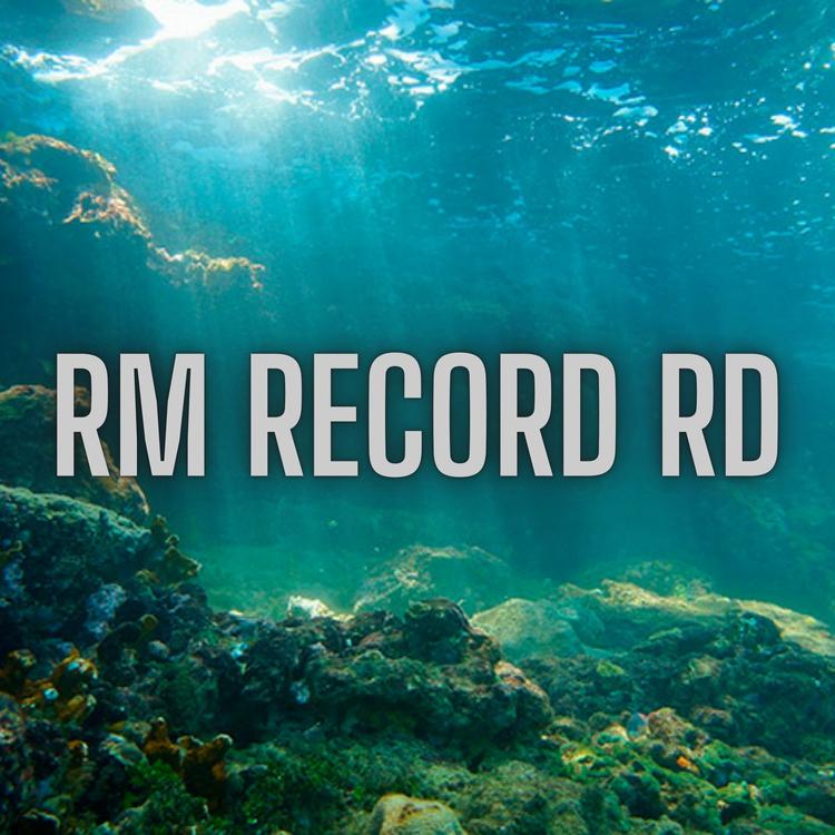 RM Record RD's avatar image