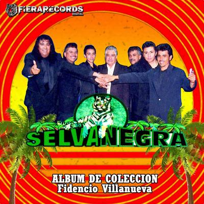 Album de Coleccion, Fidencio Villanueva's cover