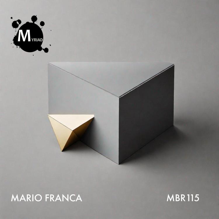 Mario Franca's avatar image