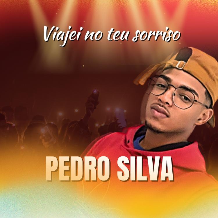 Pedro Silva's avatar image