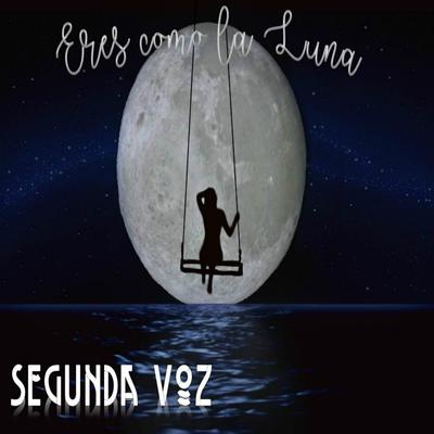 SEGUNDA VOZ PTY's cover