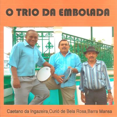 O Mal Que A Inveja Faz (feat. Caetano da Ingazeira & Curió de Bela Rosa)'s cover