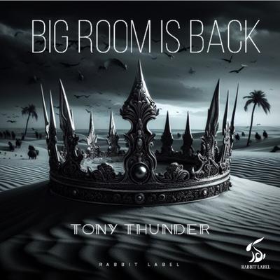 Big Room Is Back's cover