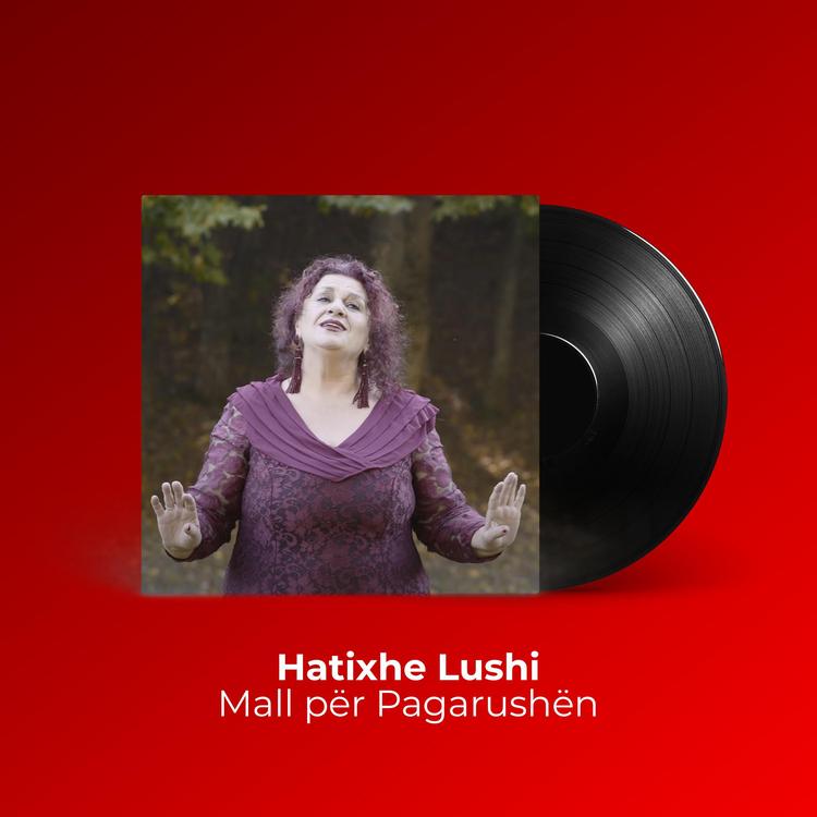 Hatixhe Lushi's avatar image