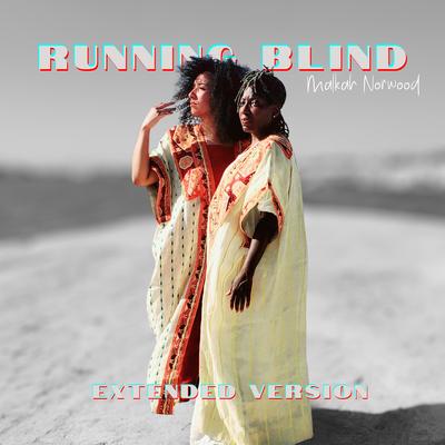 Running Blind (Extended Version)'s cover