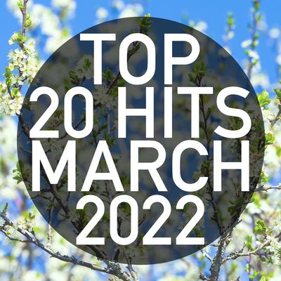 Top 20 Hits March 2022 (Instrumental)'s cover