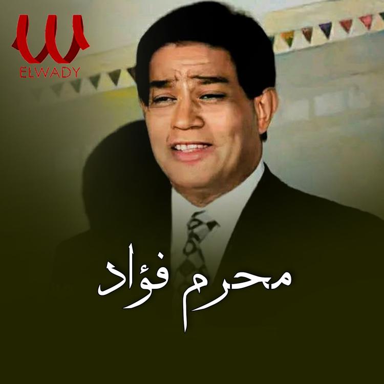 Moharam Fouad's avatar image