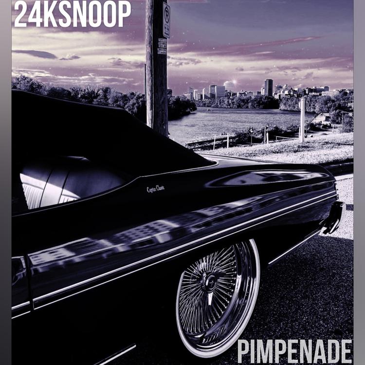 24kSnoop's avatar image