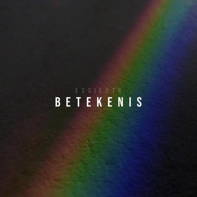 Betekenis's cover