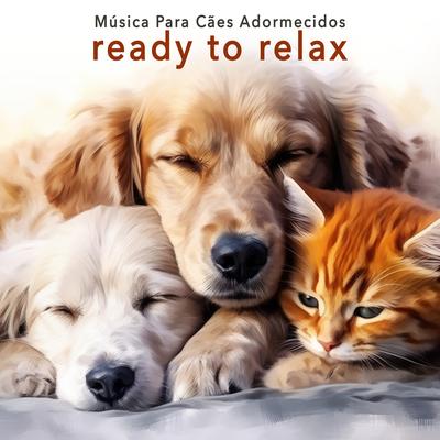 Música Para Cães Adormecidos's cover