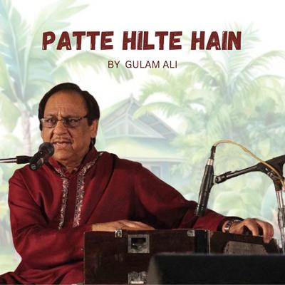 Patte Hilte Hain's cover