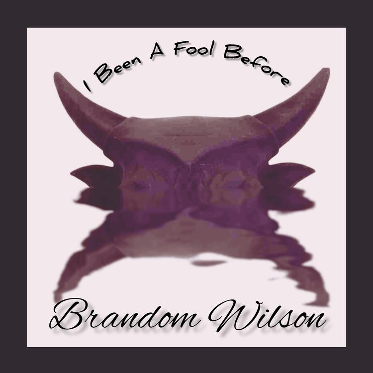 Brandom Wilson's avatar image