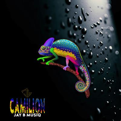 Camilion's cover