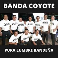 Banda Coyote's avatar cover