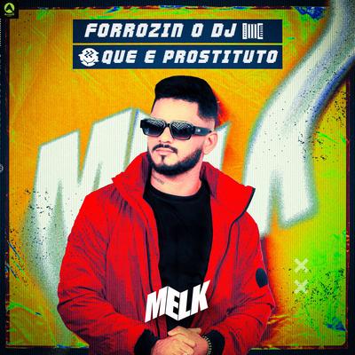 Forrózin o Dj Que É Prostituto By djmelk, Alysson CDs Oficial, Rave Produtora's cover