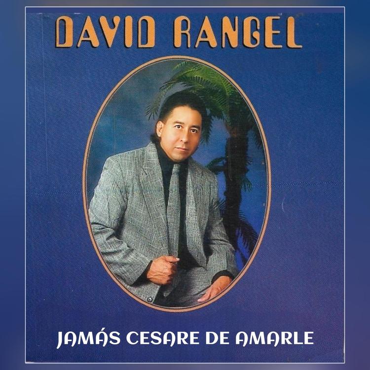 David Rangel's avatar image
