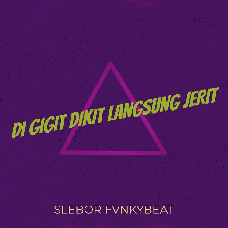 Slebor FvnkyBeat's avatar image