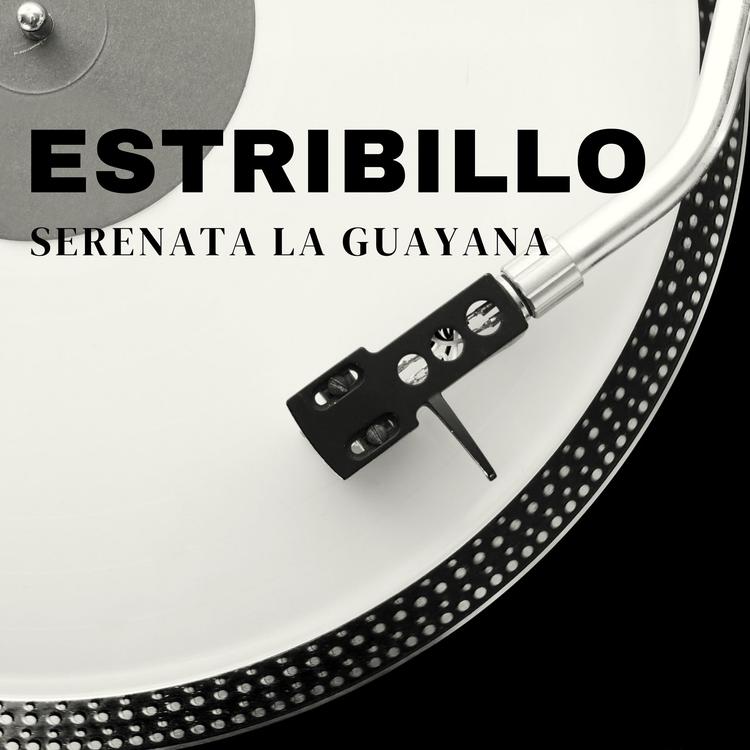 Serenata La Guayana's avatar image