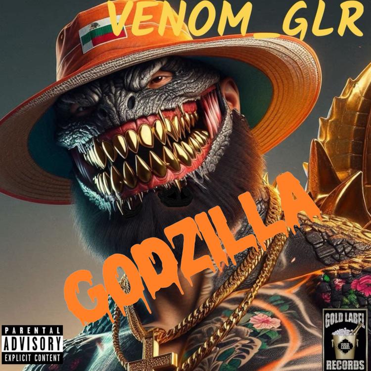 VENOM GLR's avatar image