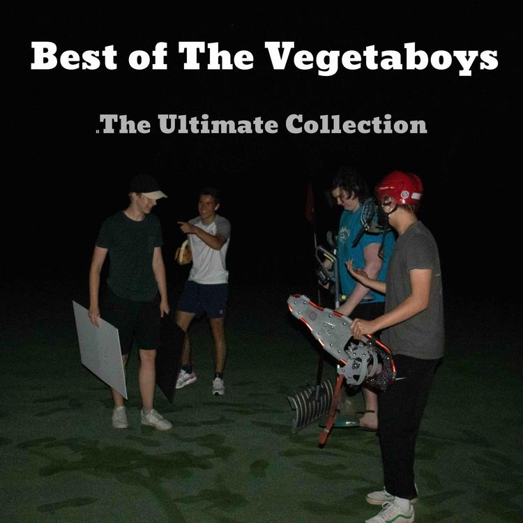 The Vegetaboys's avatar image