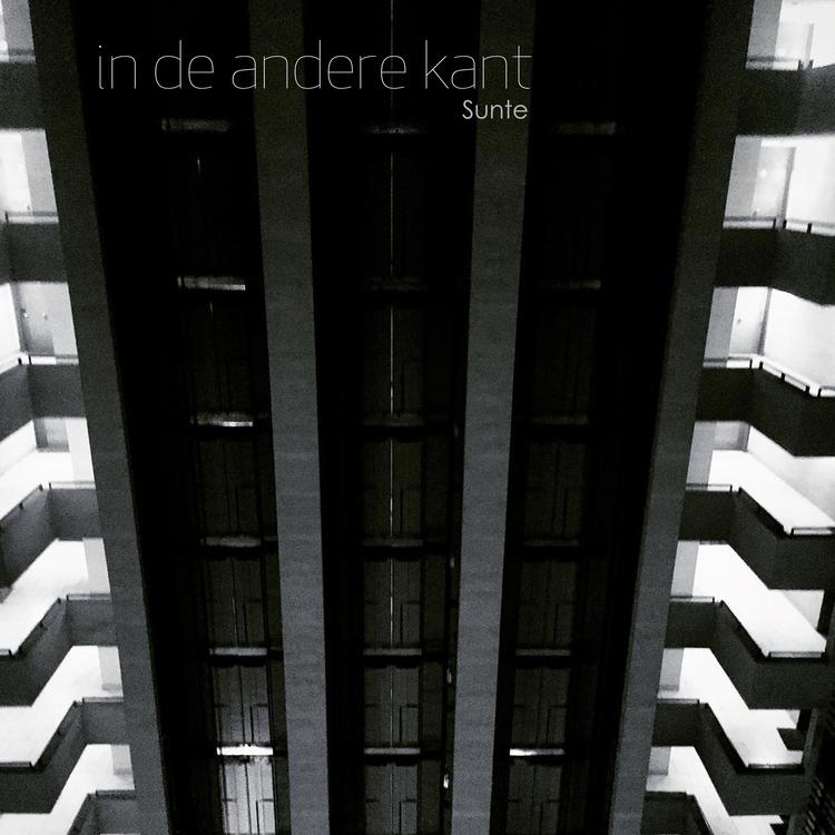 in de andere kant's avatar image