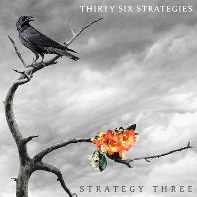 Thirty Six Strategies's cover