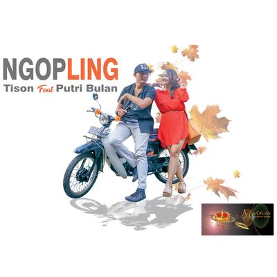 Ngopling (feat. Putri Bulan)'s cover